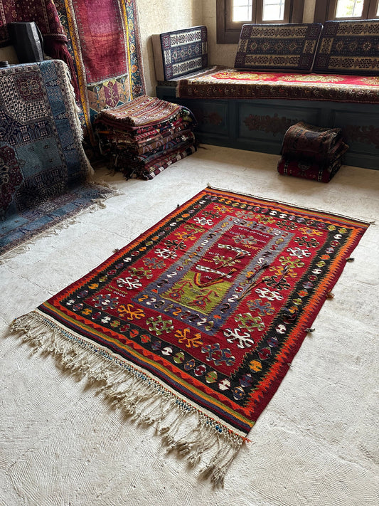 1800s Nomad Kilim Rug